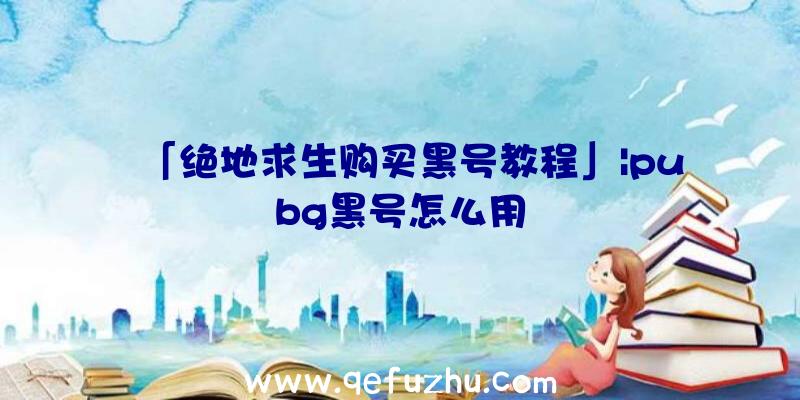 「绝地求生购买黑号教程」|pubg黑号怎么用